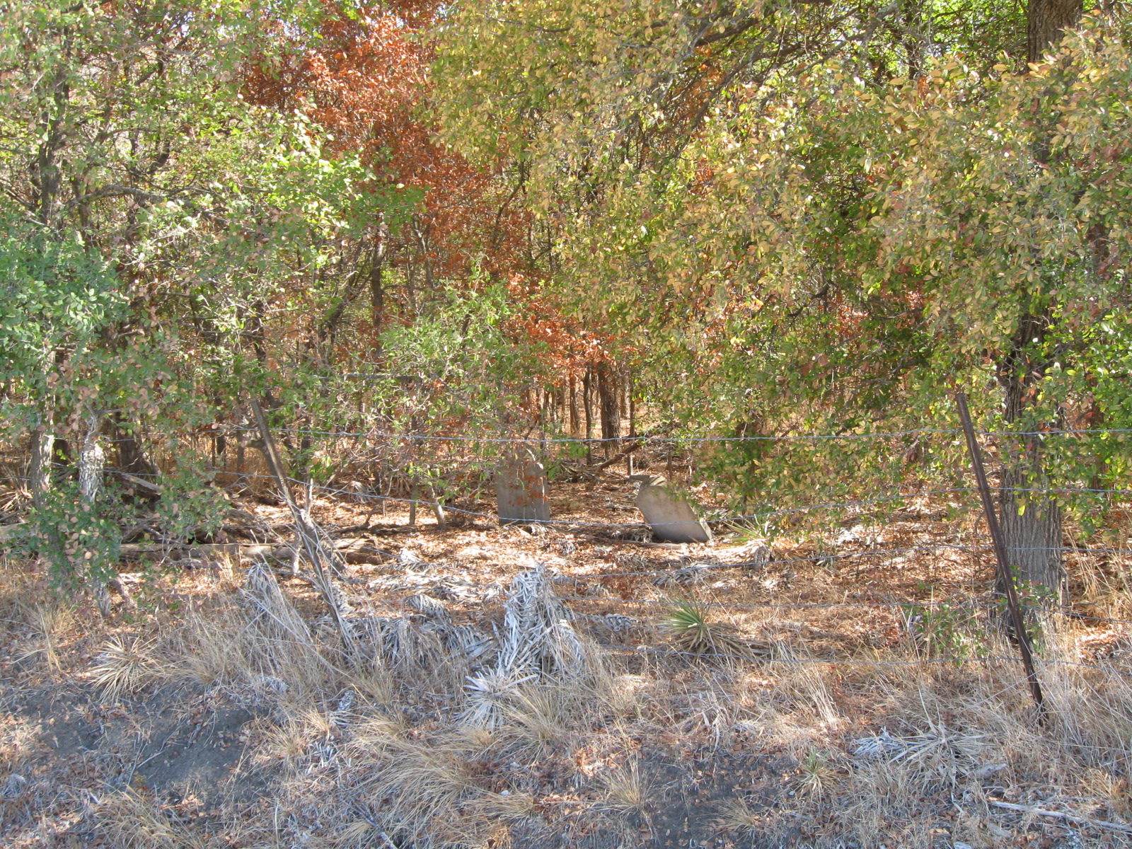 Lott Cemetery, Falls County, Texas