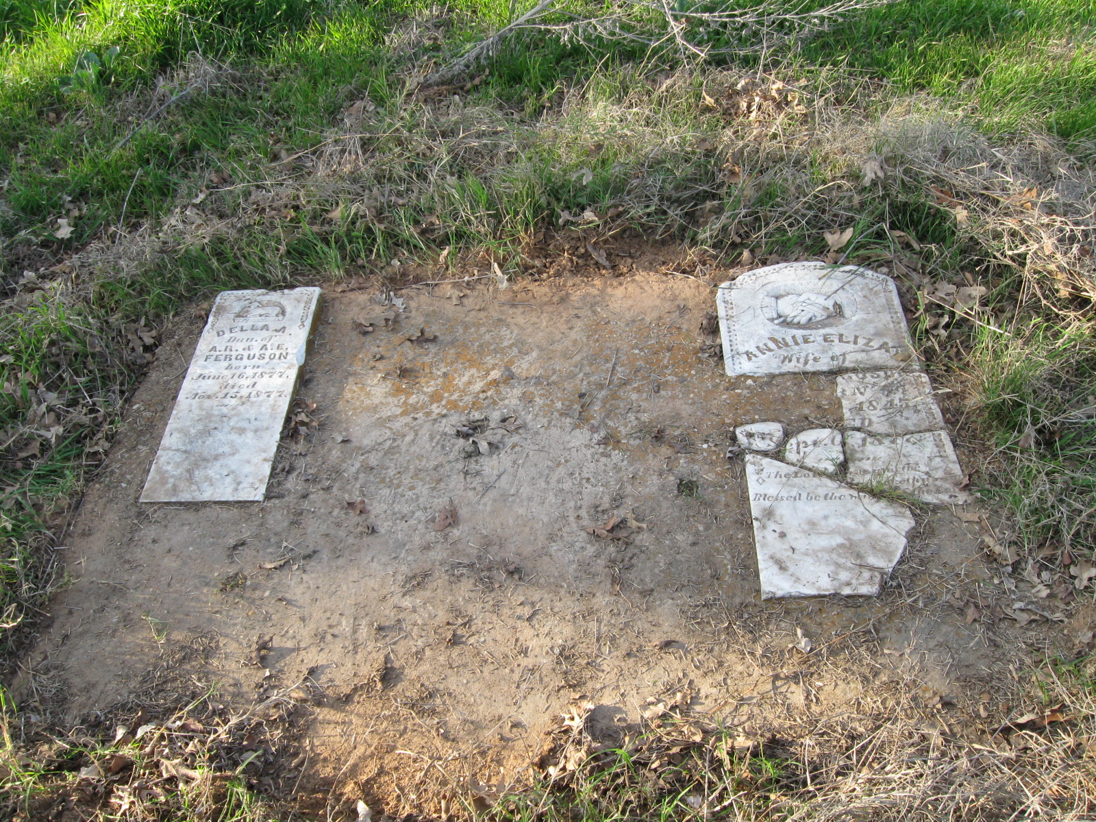 Ferguson Cemetery, Falls County, Texas