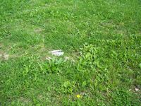 Carr Road Cemetery