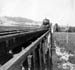 train300rescrpd2