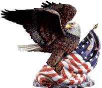 Eagle and Flag