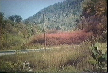Head of Little Cowan and Pert Creek