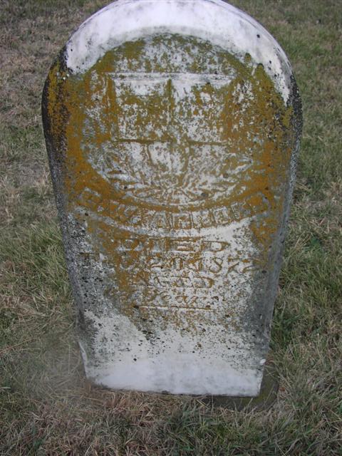 grant-ever-80.jpg