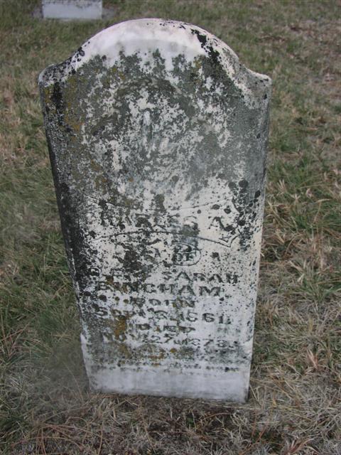 grant-ever-81.jpg