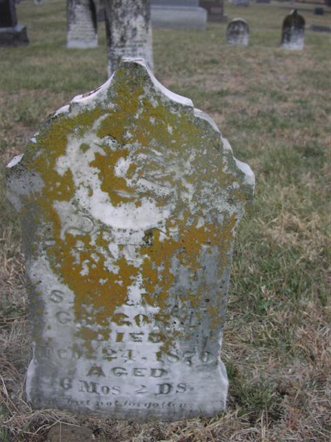 grant-ever-83.jpg