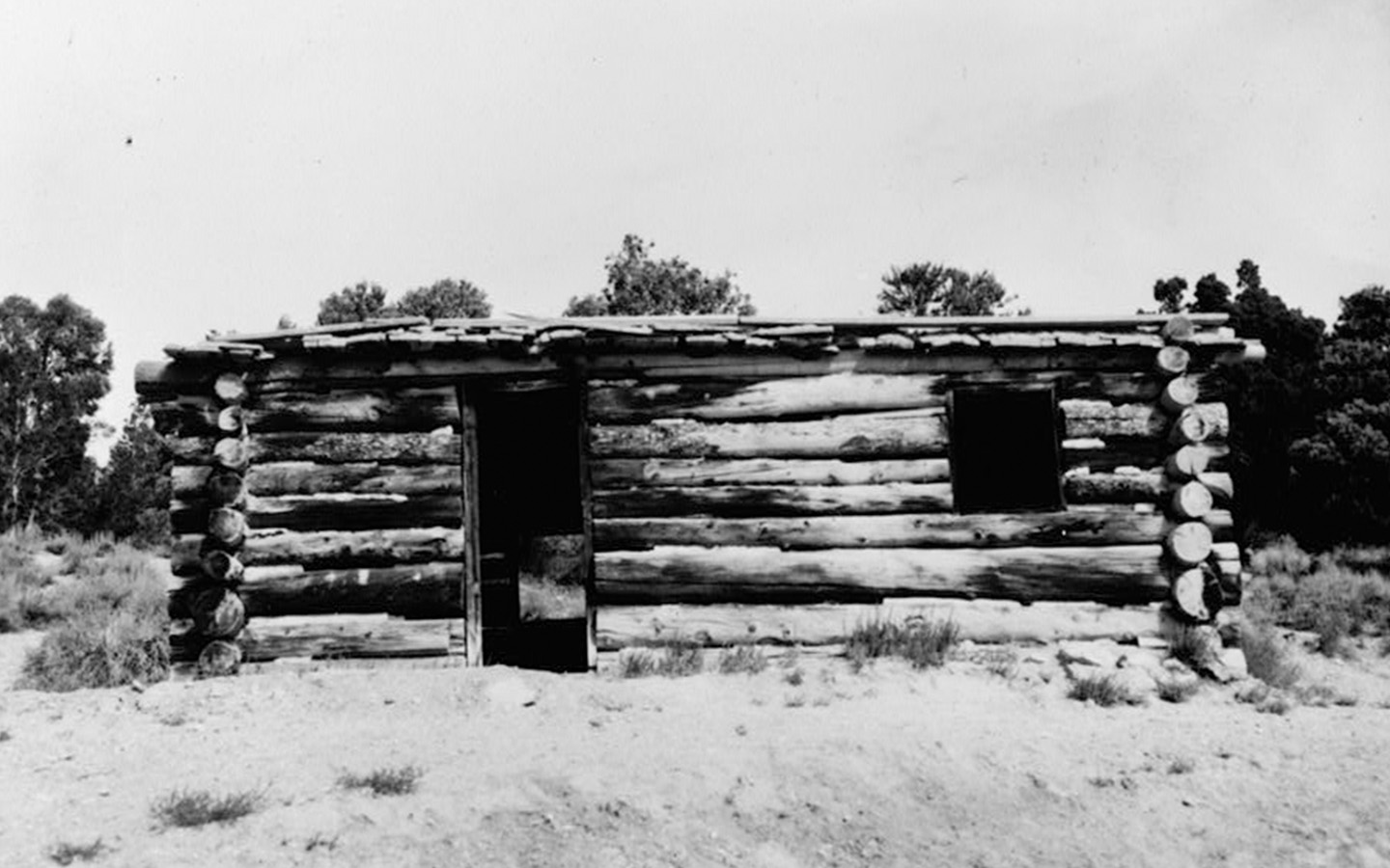 White Pine County NV family trees