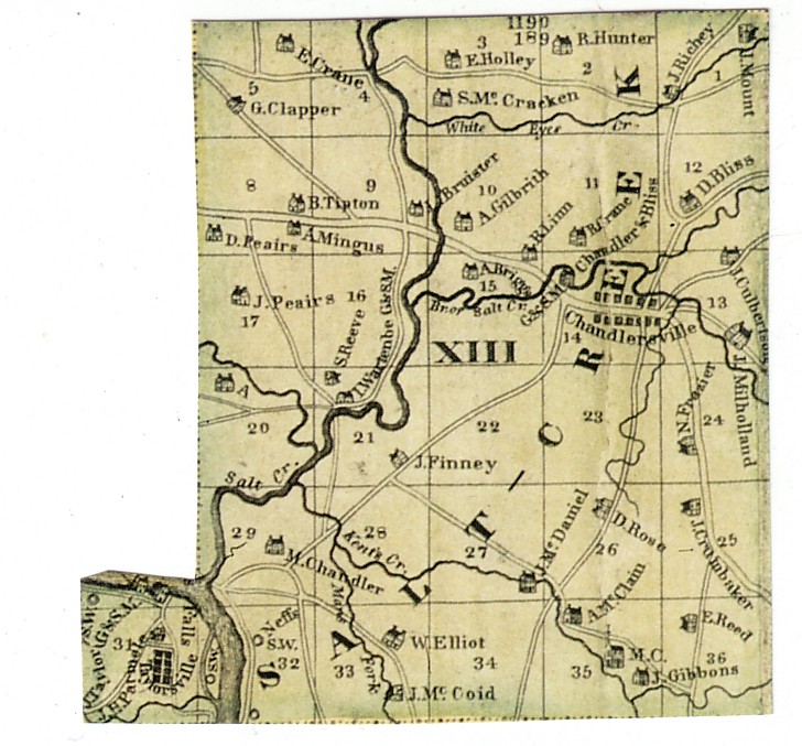 Salt Creek County, Salt Creek Township Plat Map