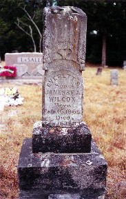 Everett S. Wilcox