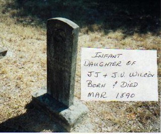 Infant Wilcox