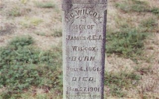 Joel C. Wilcox