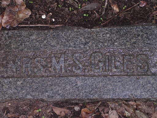 Mrs. M. S. Giles