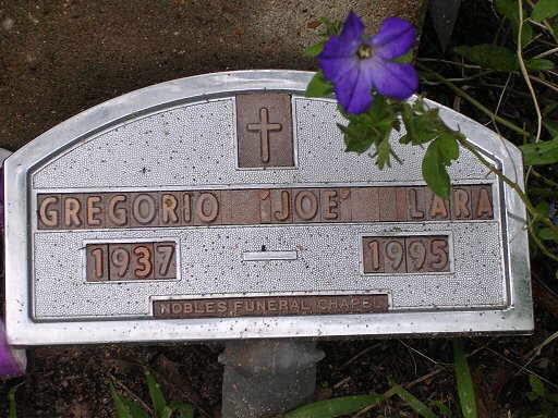 Gregorio Lara