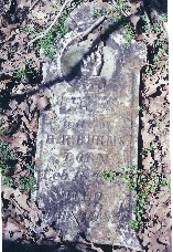 M. E. Burns