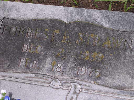 Forrest E. Strawn