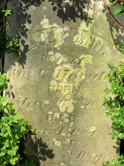 Lucy Ann <i>Aldridge</i> Aldridge