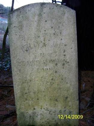 Orlena Jane <i>Southern</i> Harman