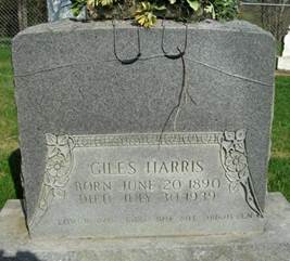 https://images.findagrave.com/photos/2010/175/28503053_127748041184.jpg