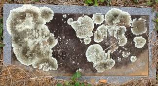 https://s3-us-west-2.amazonaws.com/find-a-grave-prod/photos/2015/129/95194263_1431308750.jpg