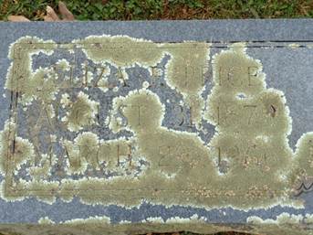 https://s3-us-west-2.amazonaws.com/find-a-grave-prod/photos/2014/340/139706835_1417989874.jpg