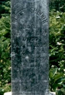  Robert Lee Shelor