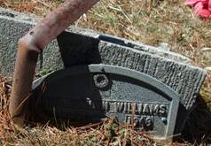 Ruby Evelyn <i>Shelor</i> Williams