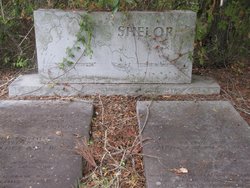 Henry Harby Shelor