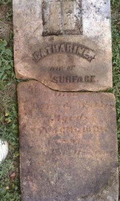 Catherine <i>Haymaker</i> Surface