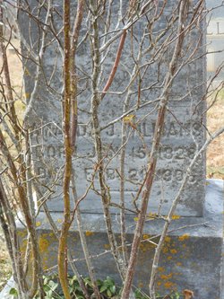 Amanda J. <i>Lemon</i> Williams