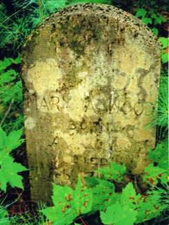 http://image2.findagrave.com/photos/2013/318/99633639_138453800397.jpg