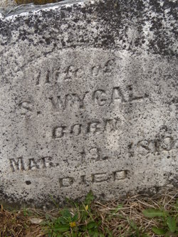 Rachel H Wygal