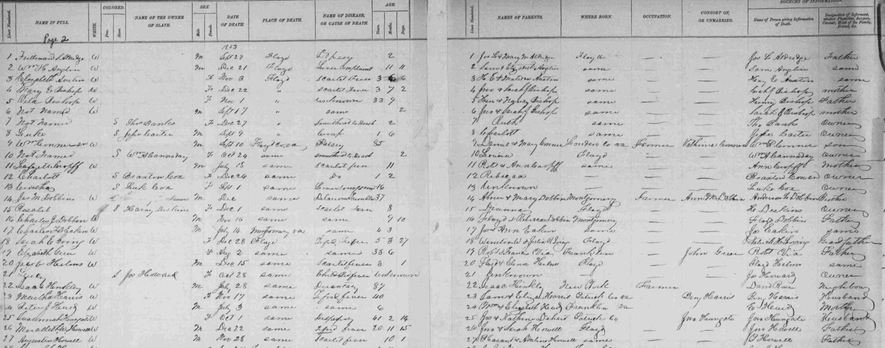 Text

Description automatically generated