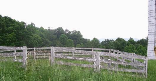 Cemetery image