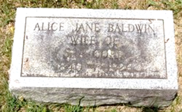 Alice Jane <I>Baldwin</I> Cord 