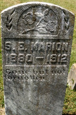 Scott Edward Marion 