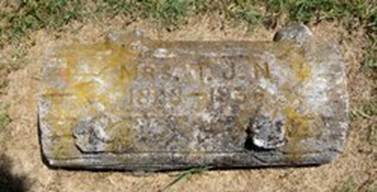 Pocahontas <I>Daily</I> Northcross 