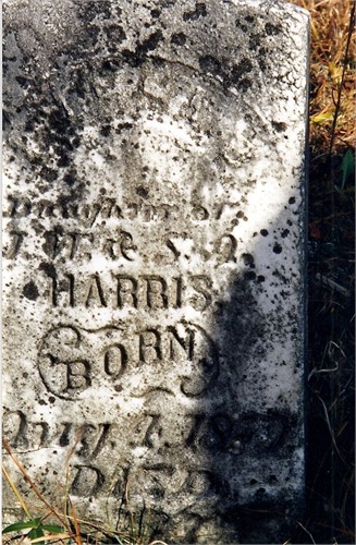 Larger memorial image loading...