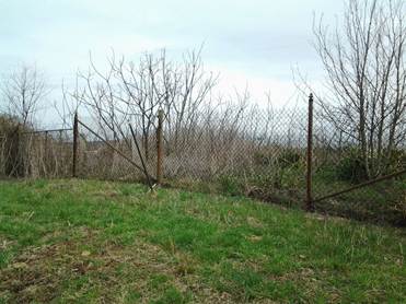 Thrash Family Cemetery