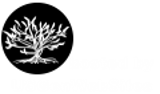 Florida Family Trees