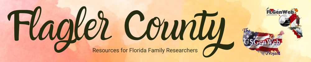 flagler co banner logo