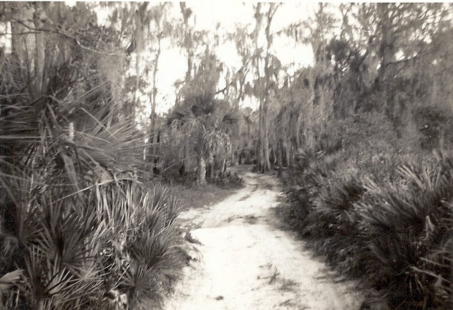 Hendry County FL family history