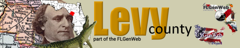 Levy Co banner logo