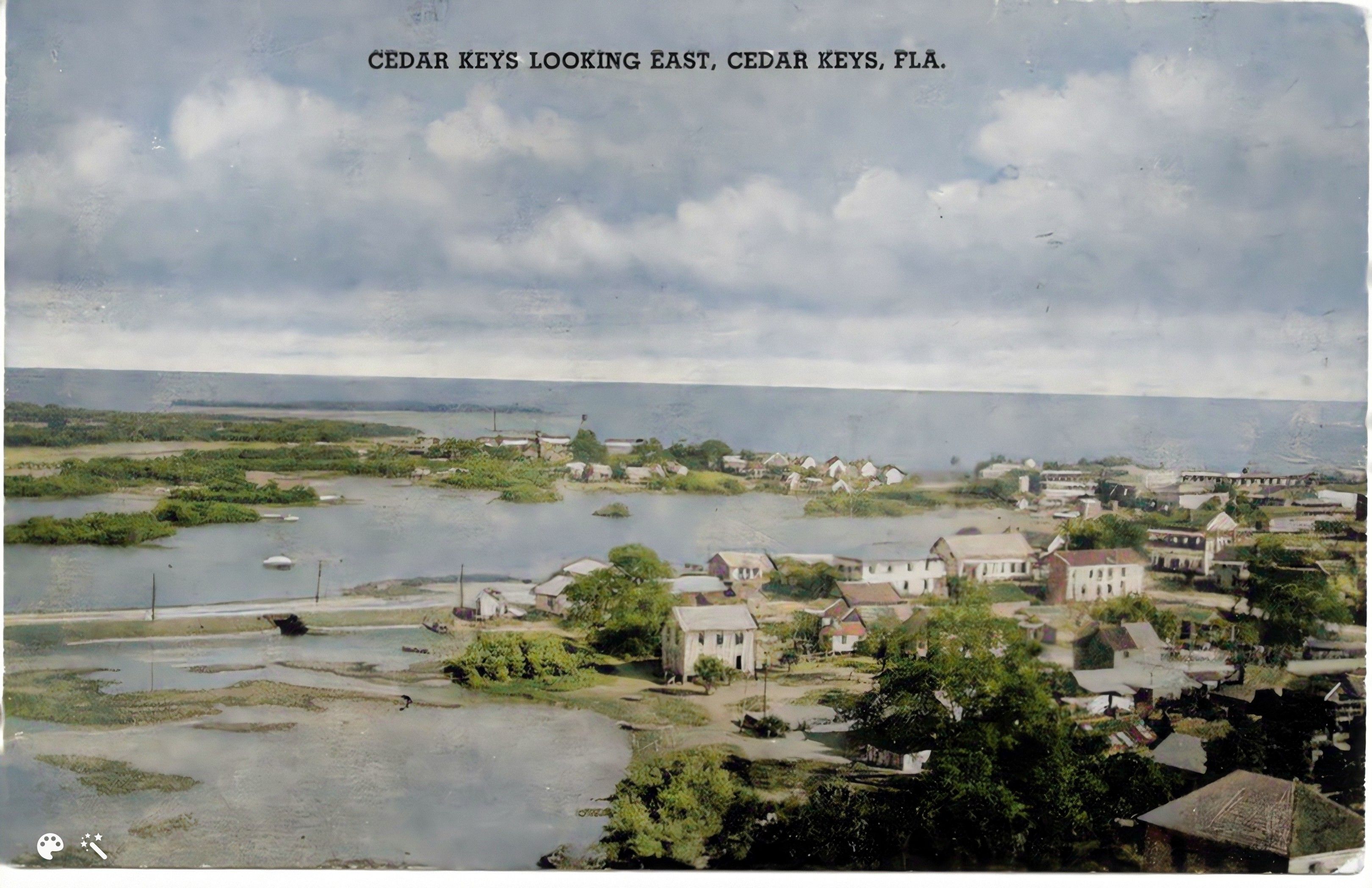 Cedar Key Photo