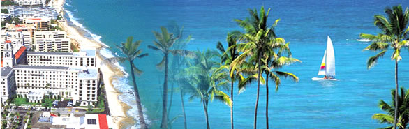 Palm Beach County Banner