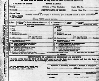 Birth Cert Sample