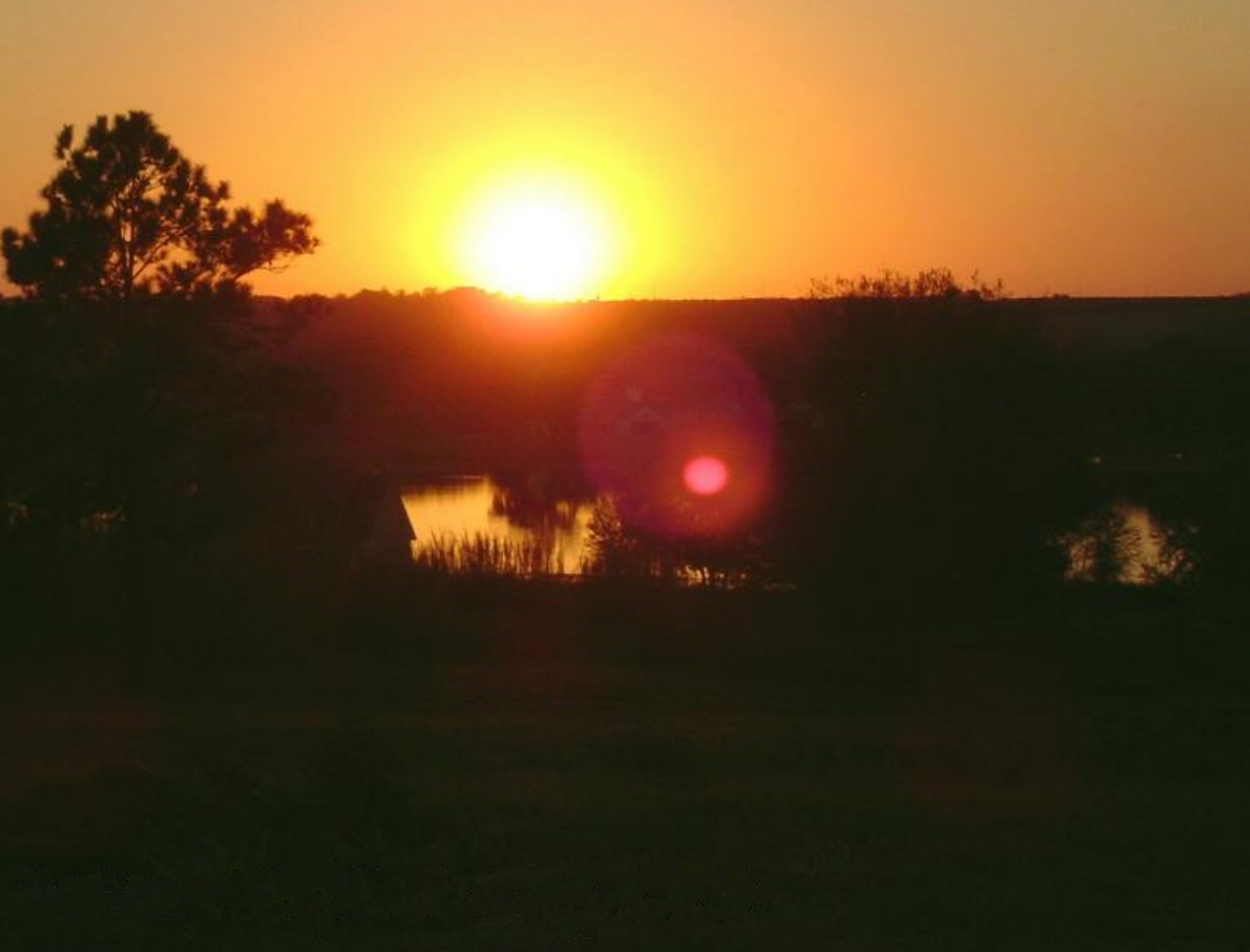 FLGenWeb Pasco County Site